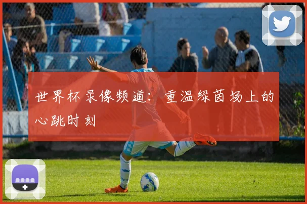 世界杯录像频道：重温绿茵场上的心跳时刻