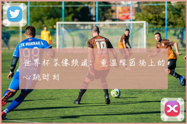 世界杯录像频道:重温绿茵场上的心跳时刻