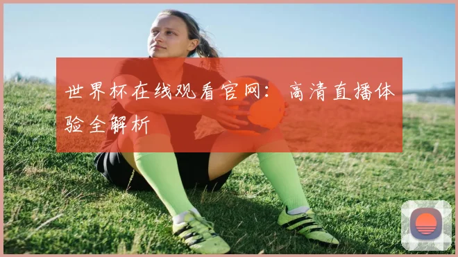 世界杯在线观看官网：高清直播体验全解析