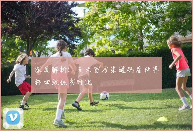 深度解析：五大官方渠道观看世界杯回放优劣对比