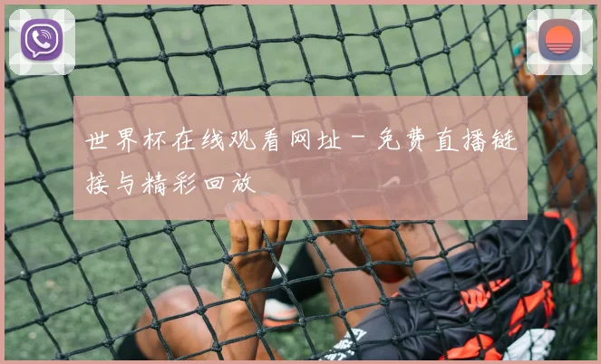 世界杯在线观看网址 - 免费直播链接与精彩回放