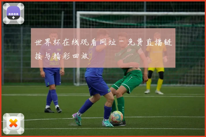 世界杯在线观看网址 - 免费直播链接与精彩回放