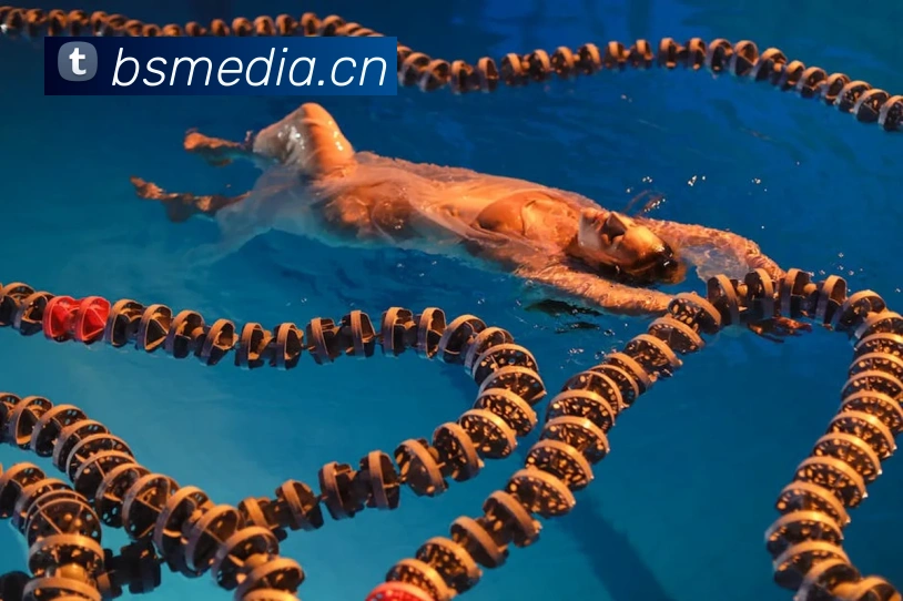 多媒体互动体验